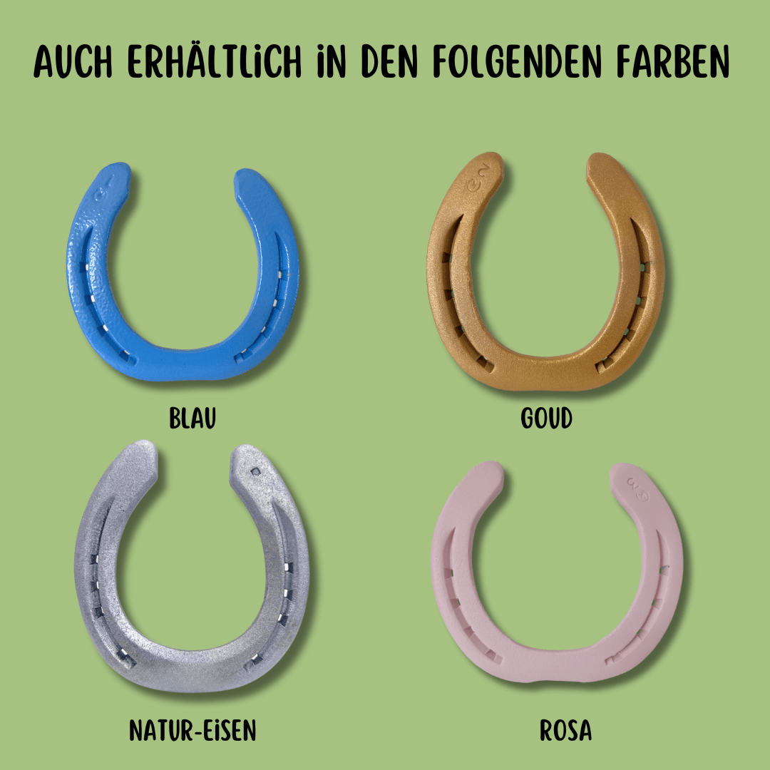 Chrom - Hufeisen – mit oder ohne Text - Hoefijzergeschenk.nl