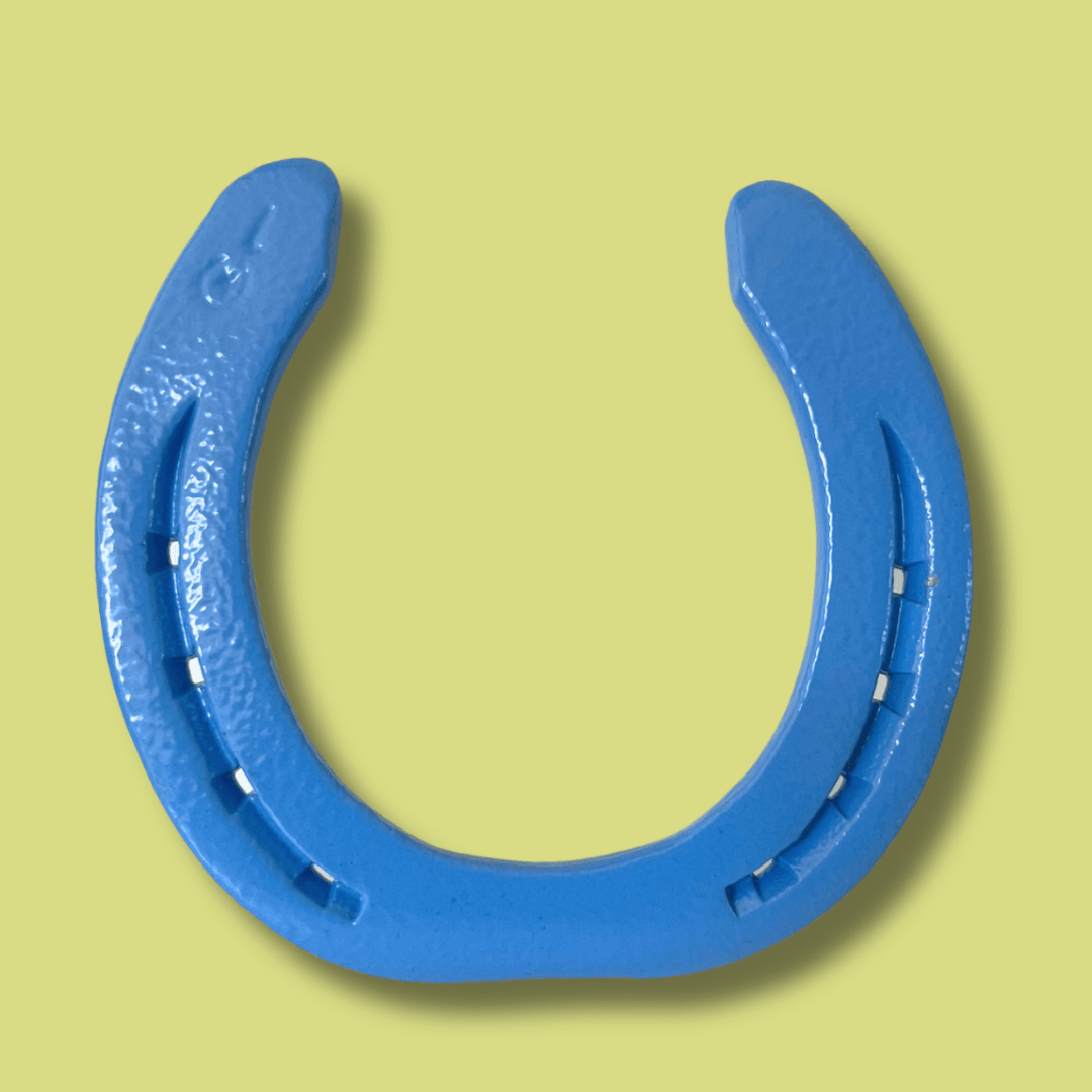 Blaues Hufeisen – mit oder ohne Text - Hoefijzergeschenk.nl