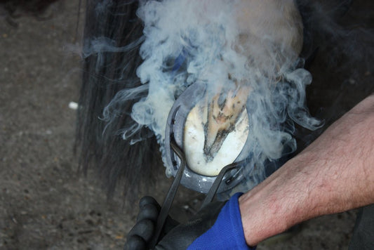 Waarom brengt een hoefijzer geluk? - Hoefijzergeschenk.nl