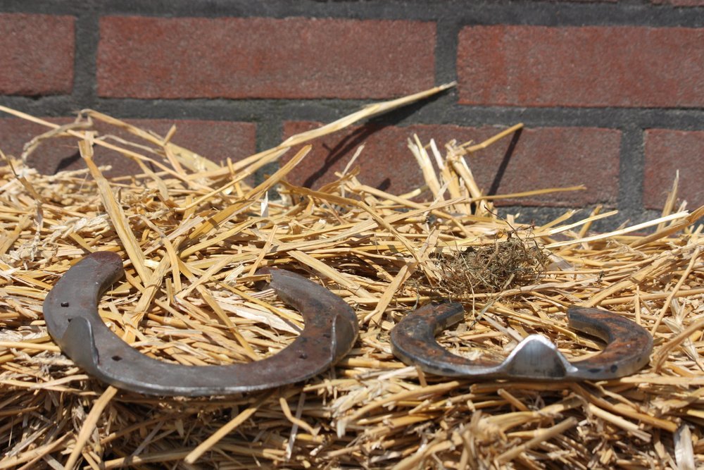 Verschillende soorten hoefijzers - Hoefijzergeschenk.nl