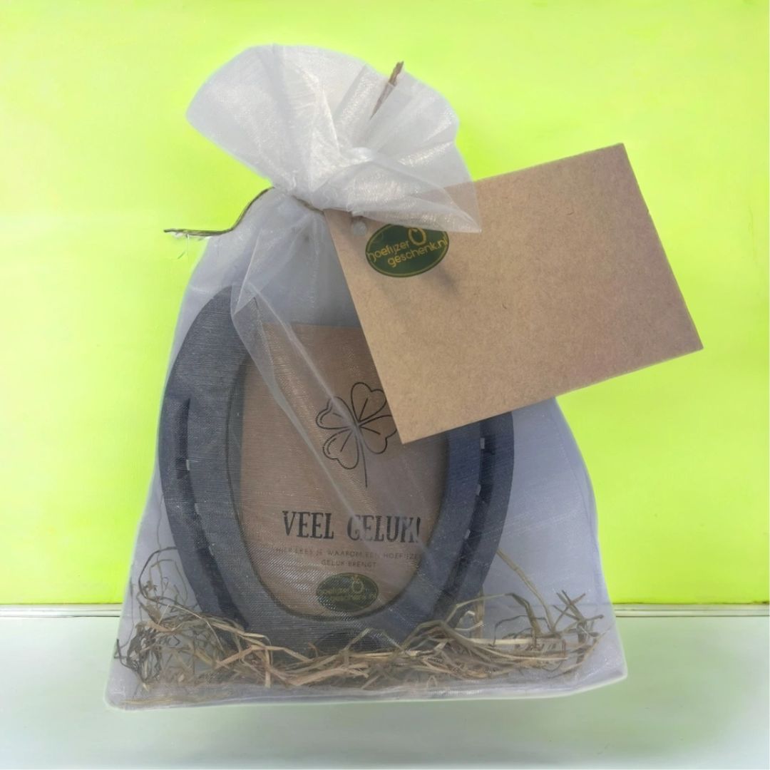 Blauw hoefijzer - Hoefijzergeschenk.nl