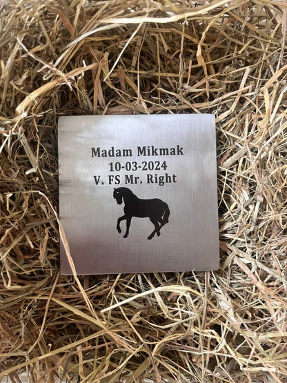 Namensschild aus Edelstahl für Pferd - Hoefijzergeschenk.nl