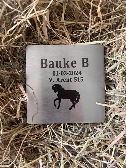 Namensschild aus Edelstahl für Pferd - Hoefijzergeschenk.nl